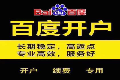 案例解读：SEM广告如何助力品牌崛起
